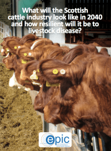 Screen Shot 2015-11-14 at 16.20.11